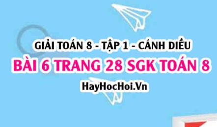 Giải bài 6 trang 28 Toán 8 Tập 1 SGK Cánh Diều